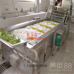 【芹菜菠菜臭氧清洗機設備葉菜類蔬菜清洗加工生產線凈菜加工設備】-