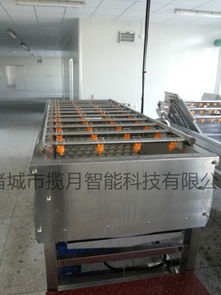 全自動果蔬毛刷去皮清洗機 根莖類果蔬去皮清洗設備