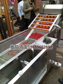 【菌類蔬菜清洗機(jī),大型洗菜機(jī)多功能洗菜機(jī)】-