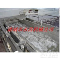 【大型蔬菜清洗機永昌專做食品瓜果蔬菜清洗設備】-